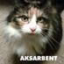 AKSARBENT (@aksarbent) Twitter profile photo AKSARBENT (@aksarbent) Twitter profile photo
