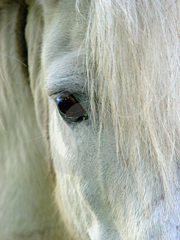 Katebignose's profile picture. 39 and under construction