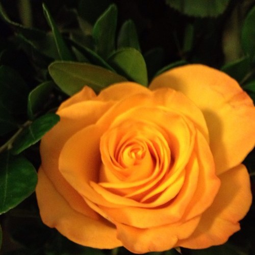 almalat1953's profile picture. 