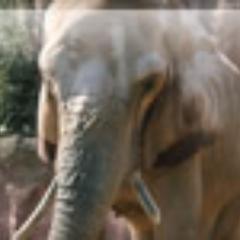 稼ぎ方は千差万別。当然リスクも高く、すべてが怪しい方法さえあります。拙い私の経験ですが、皆さんの力になるならと思いつぶやきます。末永くお付き合いくださいませ。