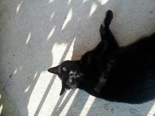 quanakym's profile picture. 