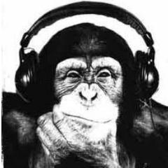 Just A Monkey Who Likes Music. http://t.co/zxct6lwCIc