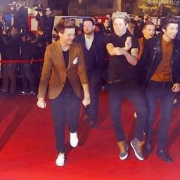 NiallerHLoveY's profile picture. Directioner forever and proud ! 3