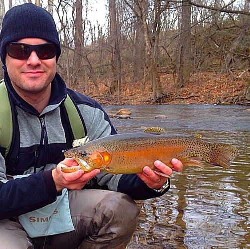 andrewholben's profile picture. 