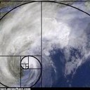 Sandra Loftin, M.D. - @sandiloftin - Twitter