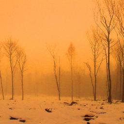 vannanjames's profile picture. A folk duo from Hannah James and Alastair Vannan who make music with voices, accordion, clogs, guitar, and mandola.