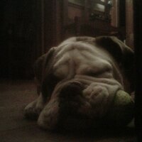 Ludwig Binge (@ludbin89) 's Twitter Profile