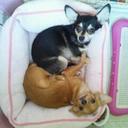 Runa (@08036265600) Twitter