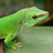 marcatweb's profile image