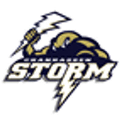 ChanStorm's profile image