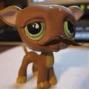 Jack Philips - @Liam_paw - Twitter