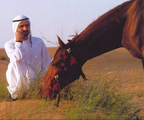 محبه لقصيد الشيخ محمد بن راشد آل مكتوم ♥