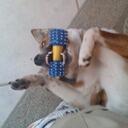 Etta Barnes - @Mollyluvetta - Twitter