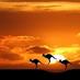 Fascinating Pictures (@fascinatingpix) Twitter profile photo Fascinating Pictures (@fascinatingpix) Twitter profile photo