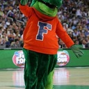 Phil Hershey - @GatorPhool - Twitter