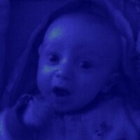 Elizabeth Talamo (@bitsyfbaby) 's Twitter Profile