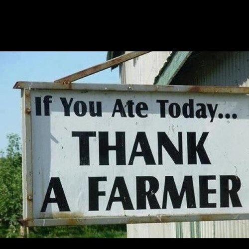 westbasefarms's profile picture. 