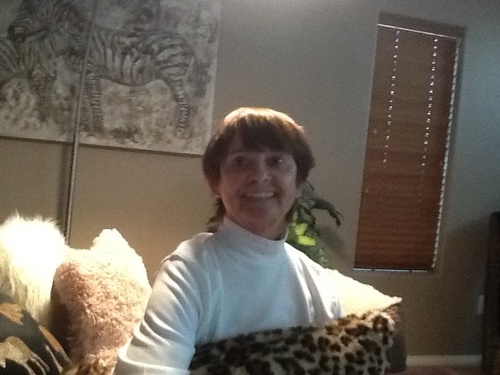 DinahDisco's profile picture. Always be kind to pets ~ they make great companions & are loving members of the family! #cats #pugs #pets #disco meow...ruff...prrrrrrr