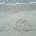 Sunsation-Belmar (@sunsationbelmar) Twitter profile photo