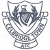 Celbridge Town AFC ⚽ (@ctafc2013) Twitter profile photo Celbridge Town AFC ⚽ (@ctafc2013) Twitter profile photo