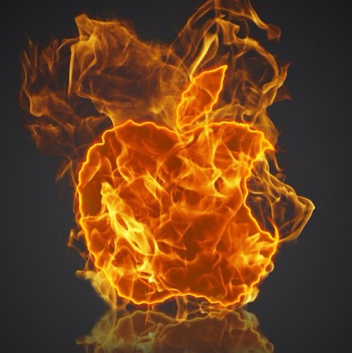 None590's profile picture. 