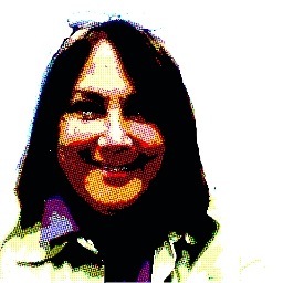 Integration Mentor MLTI
Regional Manager CSM
School Library Media Specialist PPS