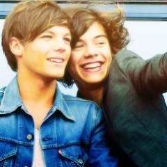 don't worry, be directioner