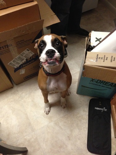 IzzyMonster_'s profile picture. 