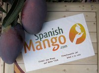 Spanish Mango - unique, tasty , highest quality -  from the tree to your table, online - sales , direct shipping http://t.co/KMwrcpVBeQ , http://t.co/u2oKH76UHm