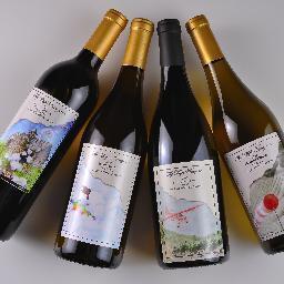 FlyHighVineyard's profile picture. Fly High Vineyard. One big family.