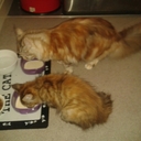 Sian Blake - @SianB81 - Twitter