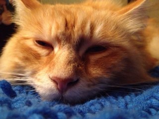 Waldschrat112's profile picture. 