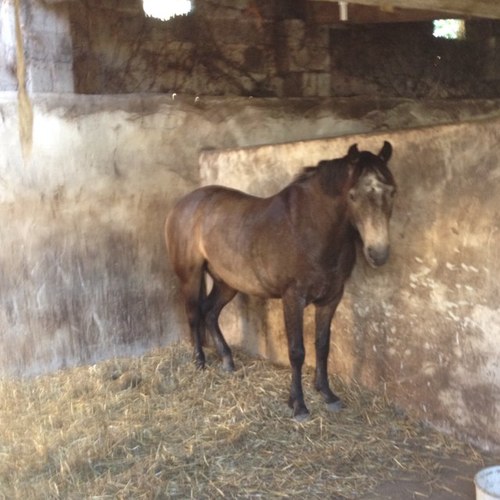 milford_firefly's profile picture. 