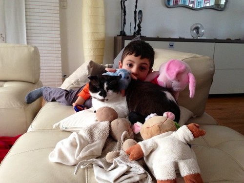 murielpelosato's profile picture. 