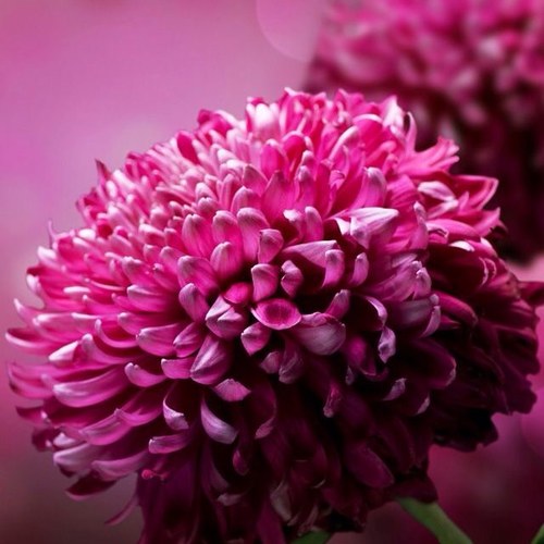 laramr86's profile picture. 