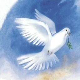 Pour l'amour d'Israel