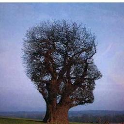 MagMiglio's profile picture. 