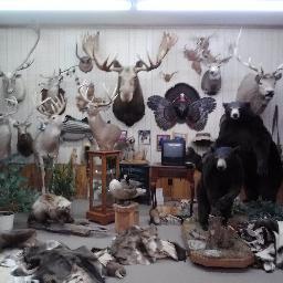 Full-service Taxidermy shop with over 40 years experience.
(631) 732-3665