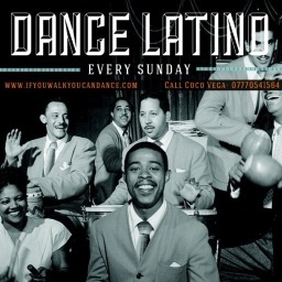 Dance Latino starts Sunday 10th of February. Learn to dance salsa, bachata, merengue & Latin Hip Hop. Every Sunday at Greys Club from 8.00pm