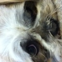 Jonny Robert rouse - @GmRouse - Twitter