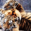 Sam Agnew - @SamAggie22 - Twitter