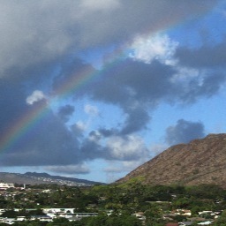 dactyl1's profile picture. 