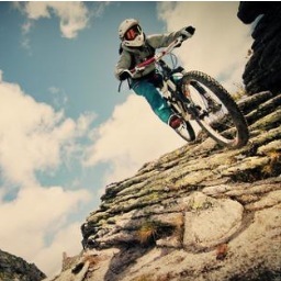 luis9474's profile picture. 