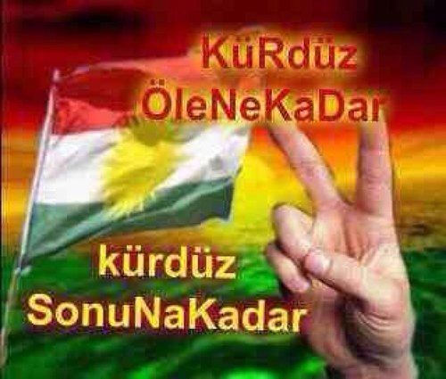 kizilkurd's profile picture. 