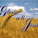 Nancy Sung - @nancymsung53 - Twitter