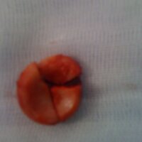 Ignacio Guerras (@iguerras) 's Twitter Profile