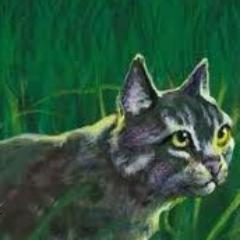 Firestar's best friend also deputy of Thunderclan.
