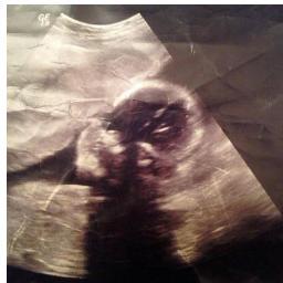 loveindenores's profile picture. Doin what right for me and my son !