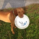 Jim Cornell - @BlackRiverBrew - Twitter