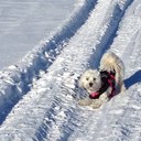 Terry Cronin - @CroninTerry - Twitter